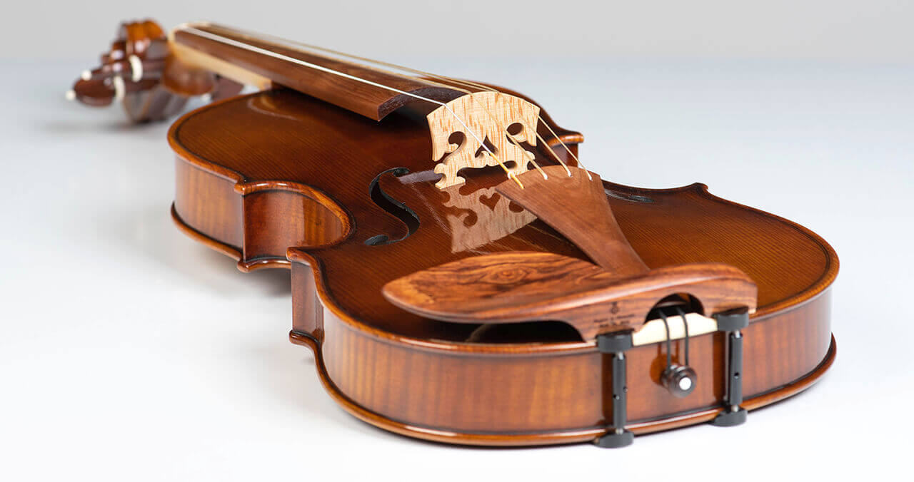 Instrumente muzicale - viori - maestru lutier Mare Claudiu
